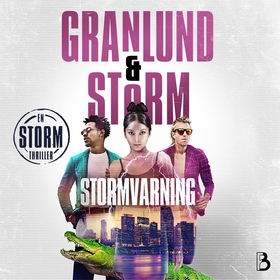 Stormvarning (ljudbok) av Anna Granlund, Alex S