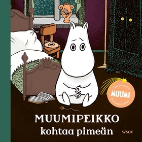 Muumipeikko kohtaa pimeän (ljudbok) av Tove Jan