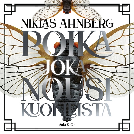 Poika joka nousi kuolleista (ljudbok) av Niklas Ahnberg