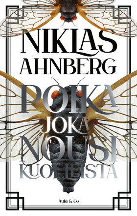 Poika joka nousi kuolleista (e-bok) av Niklas A