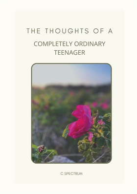The Thoughts of a Completely Ordinary Teenager 