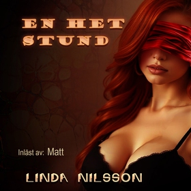 En het stund (ljudbok) av Linda Nilsson