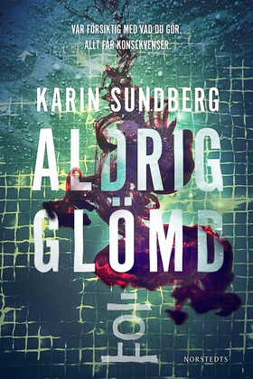 Aldrig glömd (e-bok) av Karin Sundberg