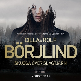 Skugga över Slagtjärn (ljudbok) av Rolf Börjlin