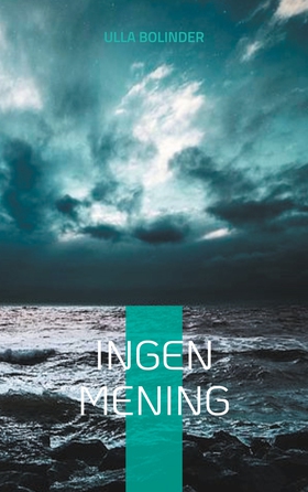 Ingen mening (e-bok) av Ulla Bolinder