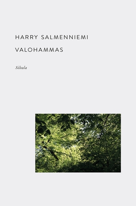 Valohammas (e-bok) av Harry Salmenniemi