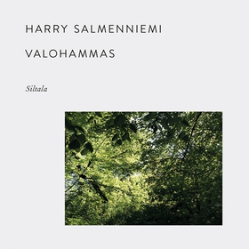 Valohammas (ljudbok) av Harry Salmenniemi