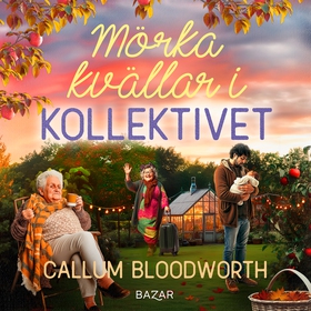 Mörka kvällar i Kollektivet (ljudbok) av Callum