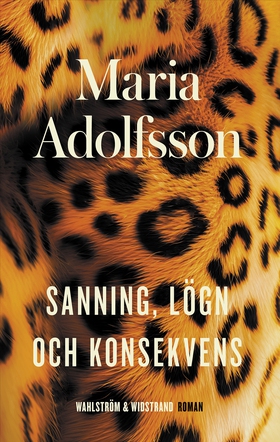 Sanning, lögn och konsekvens (e-bok) av Maria A