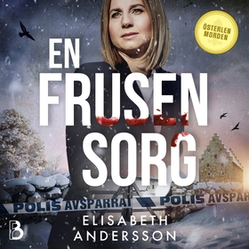 En frusen sorg (ljudbok) av Elisabeth Andersson