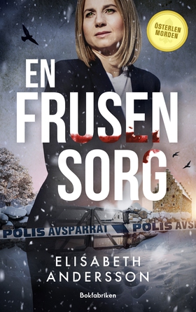 En frusen sorg (e-bok) av Elisabeth Andersson