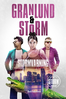 Stormvarning (e-bok) av Anna Granlund, Alex Sto