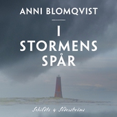 I stormens spår