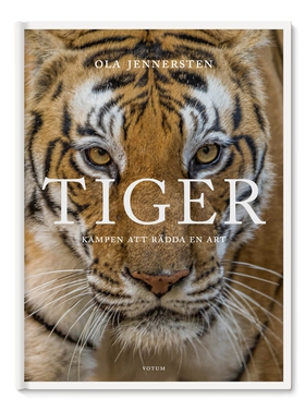 Tiger - Kampen att rädda en art (e-bok) av Ola 