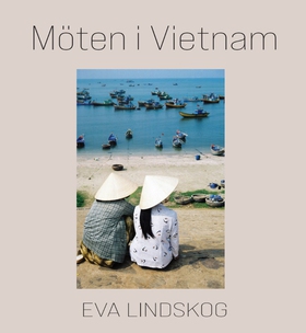 Möten i Vietnam (e-bok) av Eva Lindskog