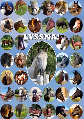 Lyssna!: En bok av hästar för människor (e-bok)