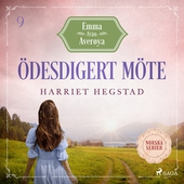 Ödesdigert möte