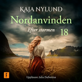 Efter stormen (ljudbok) av Kaja Nylund