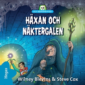 Häxan och näktergalen (ljudbok) av Wiley Blevin