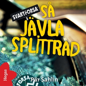 Så jävla splittrad (ljudbok) av Pär Sahlin