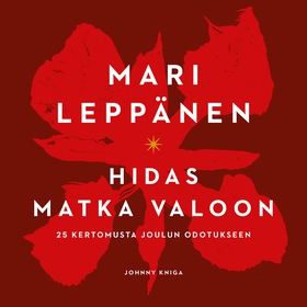 Hidas matka valoon (ljudbok) av Mari Leppänen