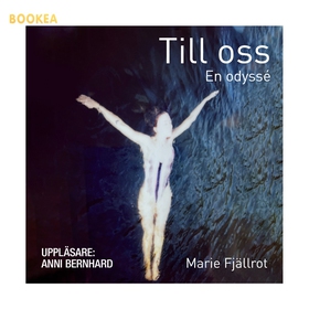 Till oss - en odyssé (ljudbok) av Marie Fjällro