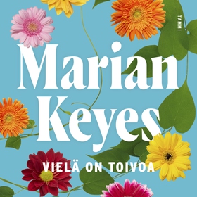 Vielä on toivoa (ljudbok) av Marian Keyes