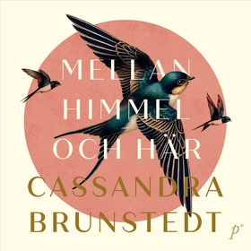 Mellan himmel och här (ljudbok) av Cassandra Br