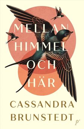 Mellan himmel och här (e-bok) av Cassandra Brun