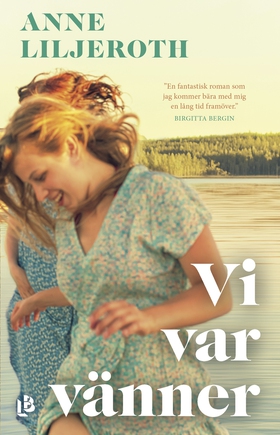 Vi var vänner (e-bok) av Anne Liljeroth