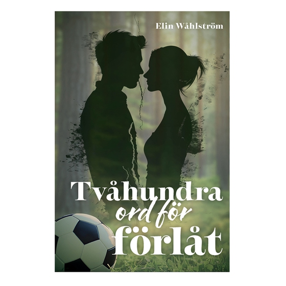 Tvåhundra ord för förlåt