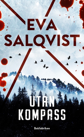 Utan kompass (e-bok) av Eva Salqvist