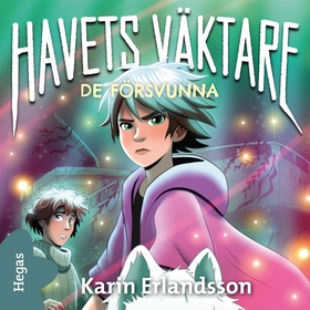 De försvunna (ljudbok) av Karin Erlandsson