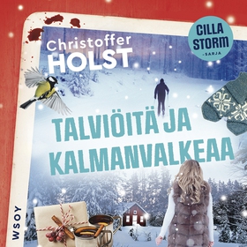 Talviöitä ja kalmanvalkeaa (ljudbok) av Christo