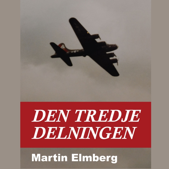 Den tredje delningen (e-bok) av Martin Elmberg