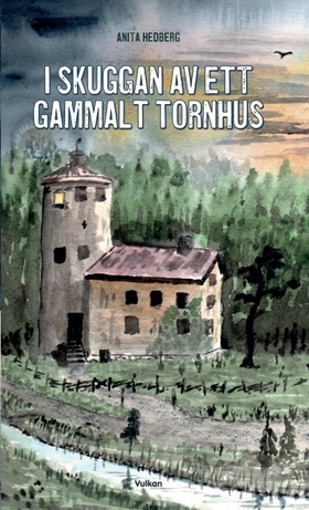 I skuggan av ett gammalt tornhus (e-bok) av Ani