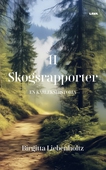 En kärlekshistoria