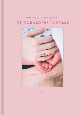 En förälders födelse (e-bok) av Emilia Bergmark