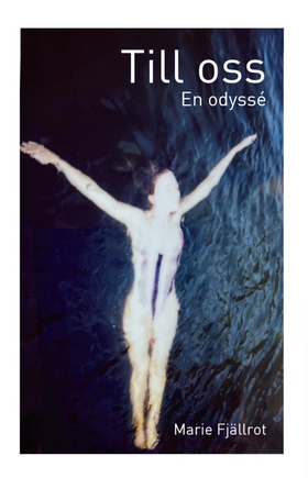 Till oss - en odyssé (e-bok) av Marie Fjällrot