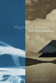 Vid synranden