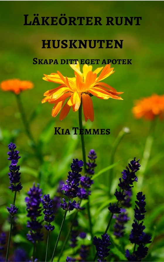 Läkeörter runt husknuten, skapa ditt eget apotek