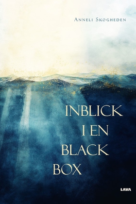 Inblick i en black box (e-bok) av Anneli Skoghe