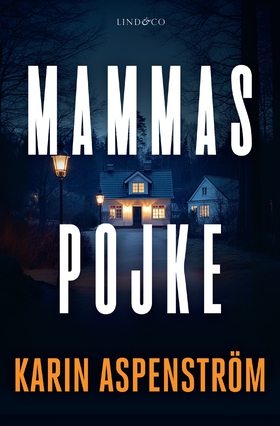 Mammas pojke (e-bok) av Karin Aspenström