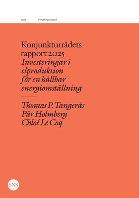 Konjunkturrådets rapport 2025: Investeringar i 