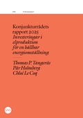 Konjunkturrådets rapport 2025: Investeringar i elproduktion för en hållbar energiomställning