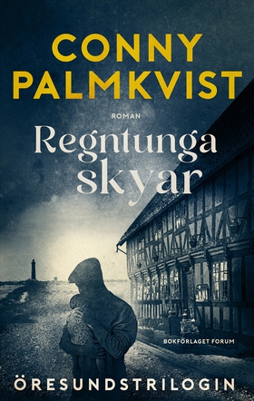 Regntunga skyar (e-bok) av Conny Palmkvist