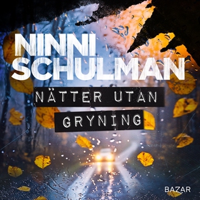 Nätter utan gryning (ljudbok) av Ninni Schulman