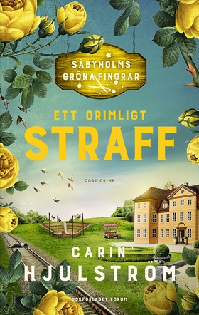 Ett orimligt straff (e-bok) av Carin Hjulström