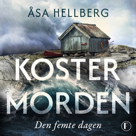Den femte dagen (ljudbok) av Åsa Hellberg