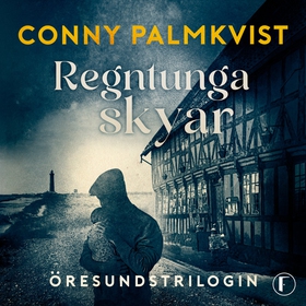 Regntunga skyar (ljudbok) av Conny Palmkvist
